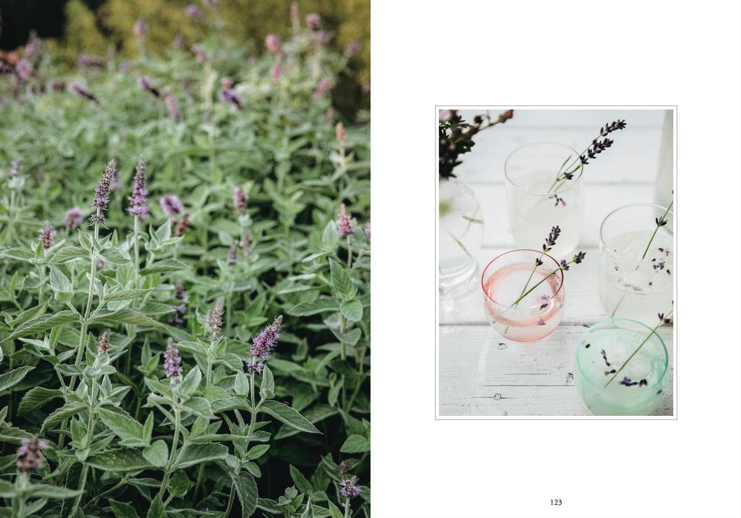 Cozy Publishing - Living with herbs