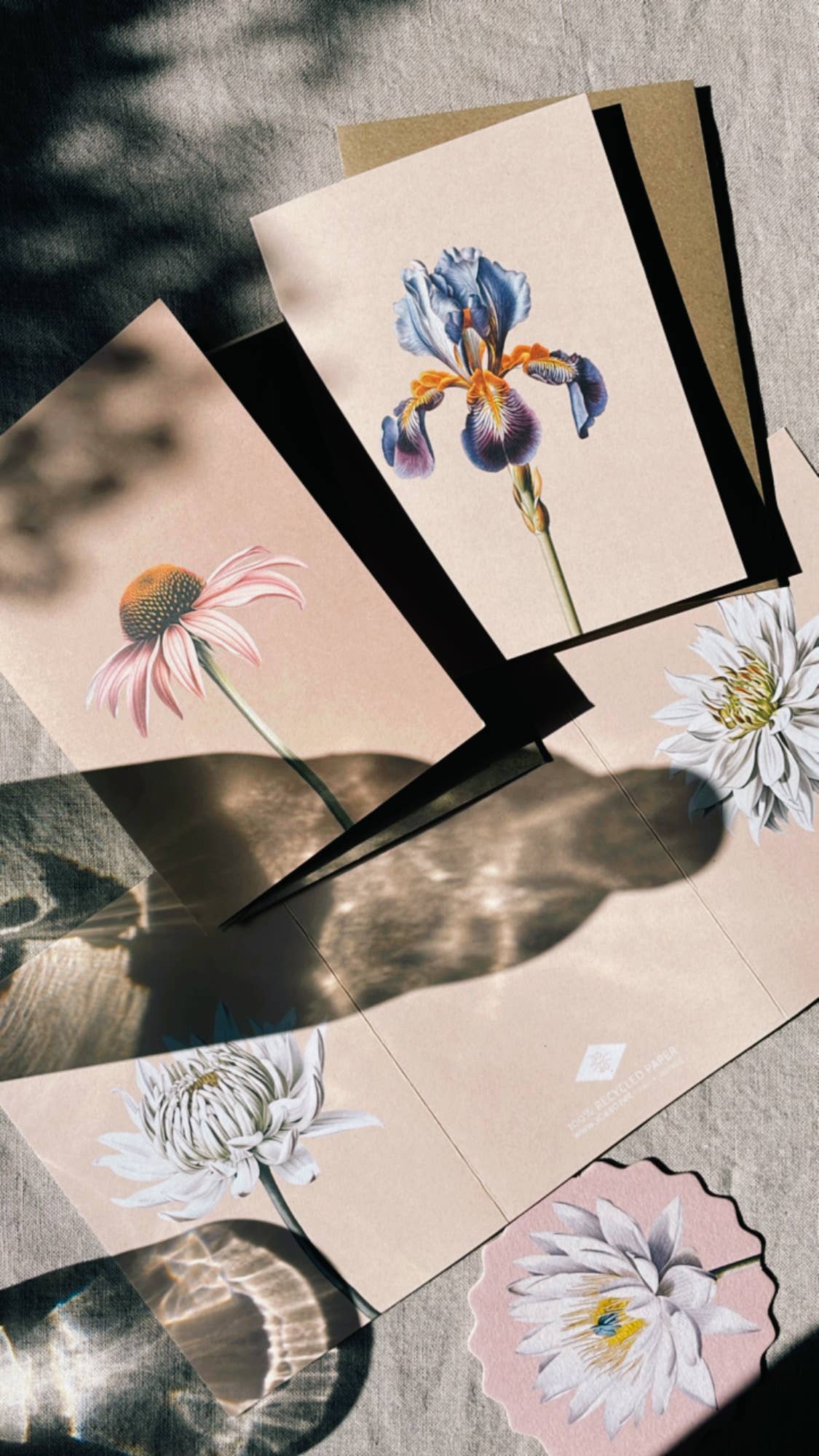 Die 30x40 Iris Leporello Grußkarte von 30x40 ist auf 300 g/m² Recyclingpapier abgebildet, wobei Sonnenlicht und weiche Schatten einen schillernden Effekt erzeugen. Das vom Wasser reflektierte Licht unten links sorgt für einen schimmernden Effekt. Die Karte wurde in Deutschland gedruckt.