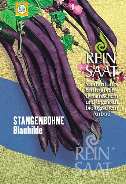 Eine Reinsaat-Packung für Stangenbohne 'Blauhilde' zeigt lange violette Bohnen, grüne Blätter und violette Blüten. Diese Bio-Stangenbohnen (Phaseolus vulgaris) sind ertragreich und resistent gegen das Bohnenmosaikvirus.