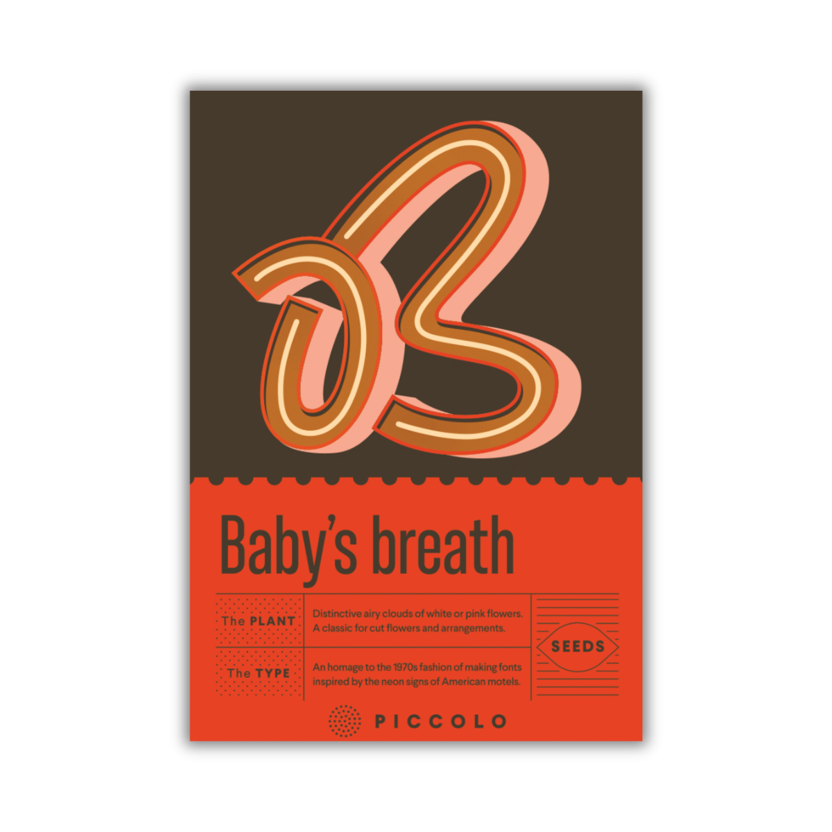 Eine Packung von Piccolo Seeds mit dem Titel „B – Der Atem des Babys“ zeigt ein kräftiges B und ein braun-oranges Design im Stil der 1970er Jahre mit Informationen zu Gypsophila paniculata – ideal für Schnittblumen der Marke Piccolo Seeds.