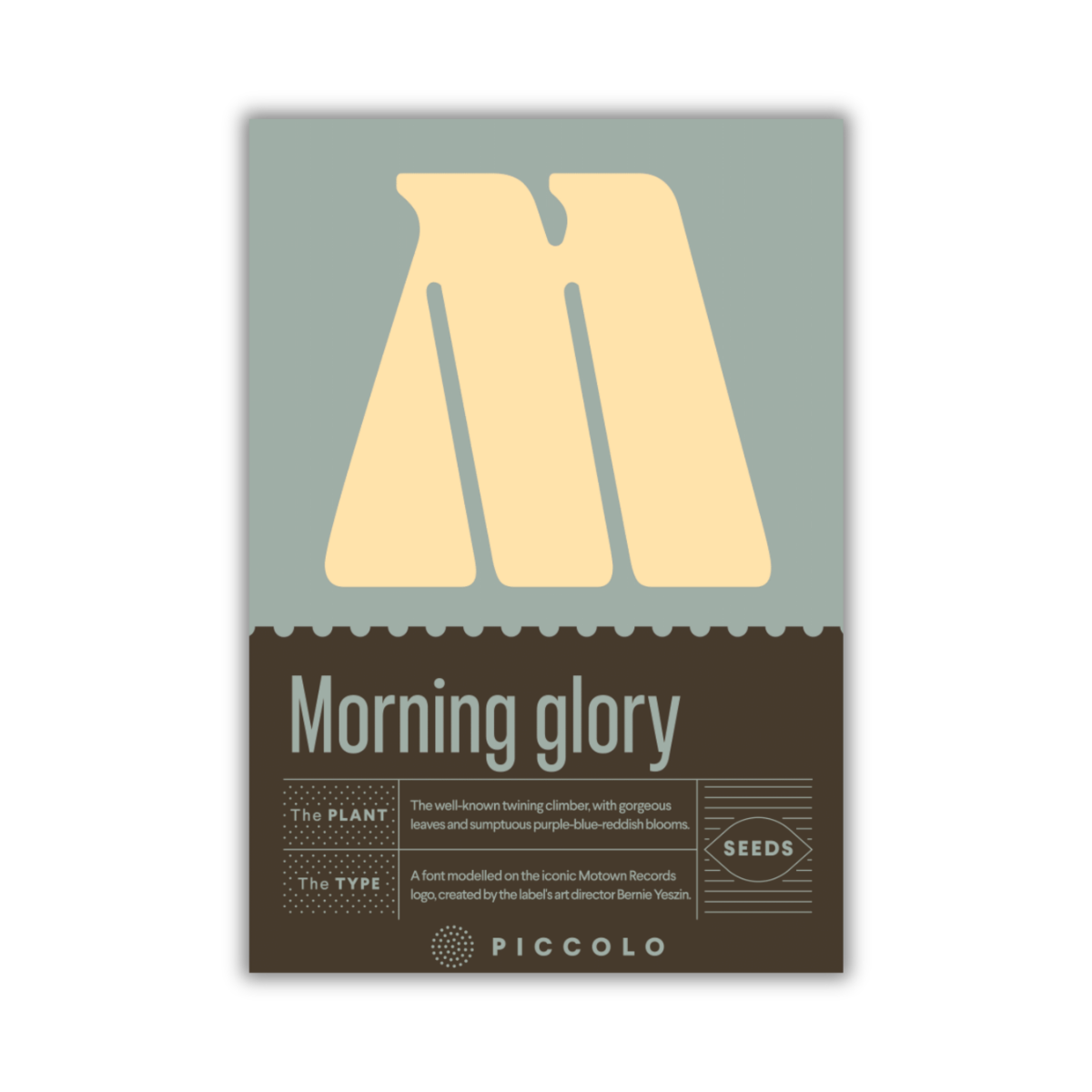 Piccolo Seeds – M – Die Prunkwindenpackung von Piccolo Seeds zeigt ein kräftiges gelbes „M“ auf gedämpftem Grün, Details dieser Kletterpflanze mit lila-blau-rötlichen Blüten und enthält Schriftartinformationen sowie „SEEDS“ in einem kleinen Kreis am unteren Rand.