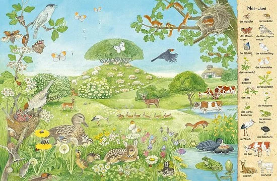 Entdecken Sie die lebendige Frühlingswiese in "Mein erstes Wimmelbuch - Jahreszeiten" aus dem Esslinger Verlag mit Tieren, Insekten, blühenden Pflanzen, einem Teich, einem Bauernhaus und vielem mehr in einer lebendigen Szene, die perfekt für junge Entdecker ist.