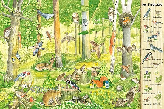 Mein großes Natur-Wimmelbuch vom Esslinger Verlag zeigt eine lebendige Waldszene mit Rehen, Hasen, Füchsen, Eichhörnchen, Eulen und mehr - inklusive Tiernamen auf Deutsch. Ideal für Fans von Wimmelbildern und Tier-Stickern.