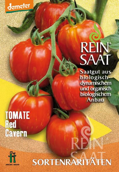 Eine Traube großer, roter Tomate 'Red Cavern' hängt an einer Rebe. Auf der Reinsaat-Verpackung steht ein deutscher Text über den biologischen und biodynamischen Samenanbau dieser füllbaren Tomate.