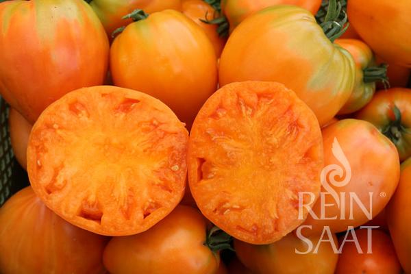 Mehrere ReinSaat - Tomate 'Ochsenherz Orange' der Marke Reinsaat sind übereinander gestapelt, wobei eine Tomate halbiert ist, um ihr saftiges Inneres und ihre Kerne zu zeigen. Das Reinsaat-Logo erscheint in der unteren rechten Ecke des Bildes.