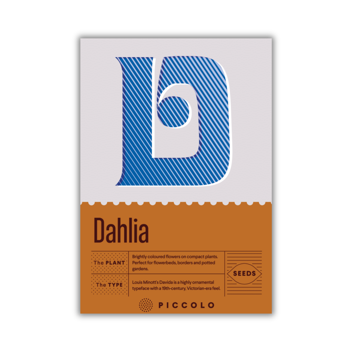 Die Piccolo Seeds - D - Dahlie Packung von Piccolo Seeds zeigt ein fettes blaues "D" über "Dahlia variabilis" und Pflanzinformationen auf braunem Hintergrund - ideal für Topfgärten oder Blumenbeete - mit Saatgutdetails und dem Piccolo Logo darunter.