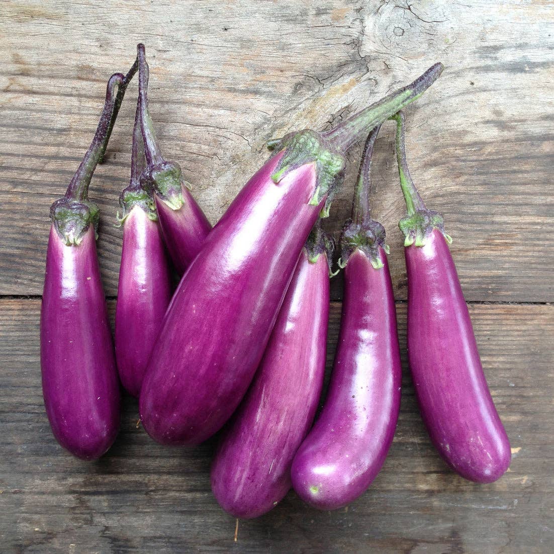 Mehrere lange, schlanke violette Auberginen der Sorte Slim Jim mit grünen Stielen - perfekt für Terrassen - werden auf rustikalem Holz präsentiert und spiegeln die Qualität der Aubergine Slim Jim von Piccolo Seeds wider.