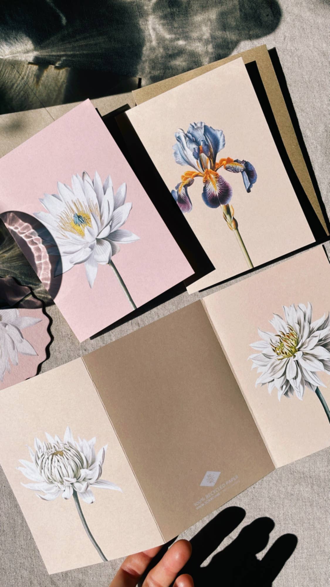 Die 30x40 Iris Leporello Grußkarte zeigt realistische Blumenmotive auf Recyclingpapier: weiße Lotusblume, violette Iris und zwei weiße Chrysanthemen auf beigem Stoff. Gedruckt in Deutschland, von 30x40.