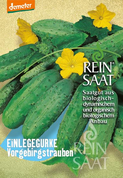 Reinsaat - Einlegegurke ‚Vorgebirgstrauben‘-Samenpaket zeigt grüne Gurken mit gelben Blüten und grünen Blättern, gekennzeichnet als biologisch und biodynamisch – ideal für die Herstellung von Gewürzgurken.