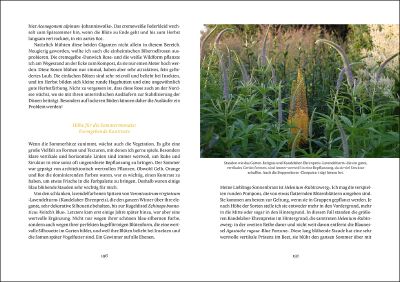 Eine Doppelseite aus „Mein wunderbarer Cottage Garten“ von Isabelle Van Groeningen (Insel Verlag): Links deutscher Text, rechts weiterer Text über einem Foto von hohen grünen Pflanzen mit gelben Blütenständen – ideal für nachhaltige Gartenideen.
