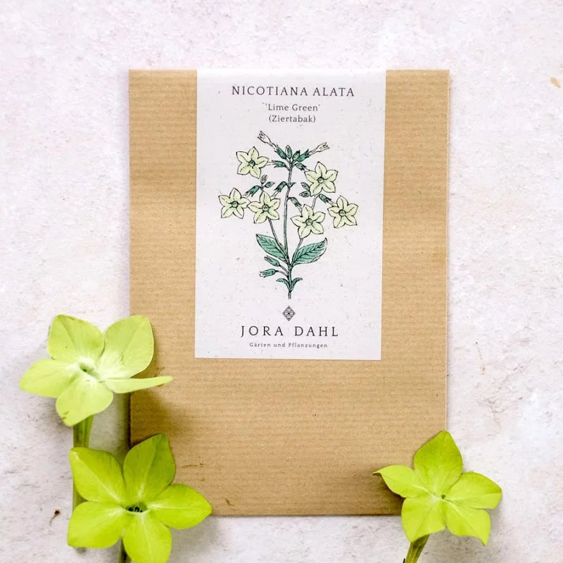 Ein braunes Papierpaket mit Jora Dahl – Nicotiana alata „Lime Green“ (Ziertabak) mit einer botanischen Illustration liegt auf einer leicht strukturierten Oberfläche, begleitet von drei echten Schnittblumen in ähnlichen Grüntönen.