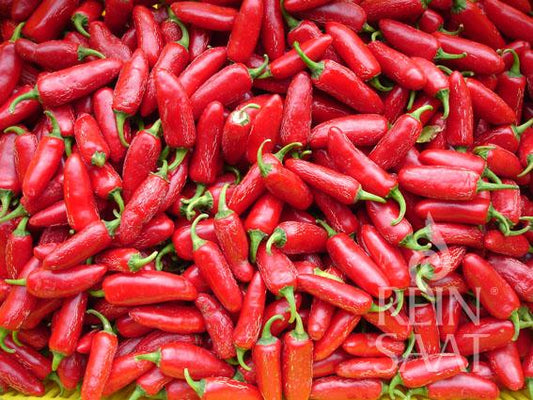 Ein Haufen frischer, roter ReinSaat Chili 'Jalapeno Ruben' mit grünen Stielen, dicht aneinander gepackt. Abgebildet im Detail mit dem Reinsaat-Logo. Ideal für alle, die hochwertige Chilisamen suchen.