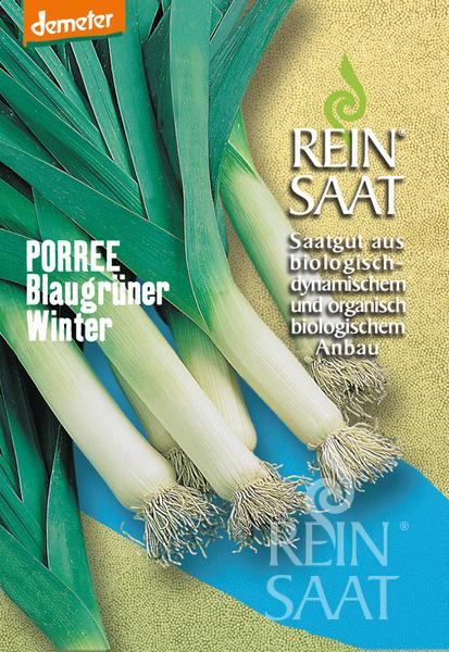 Das Reinsaat-Saatgutpaket "Porree 'Blaugrüner Winter'" bietet frischen Porree (Allium porrum) mit blaugrünen Blättern, ideal für den biologischen und biodynamischen Anbau und mit zuverlässiger Winterhärte.