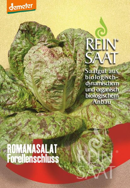 Ein Päckchen Reinsaatsamen für Romanasalat 'Forellenschluss' mit rot gesprenkelten Blättern. Die biologisch-dynamische Sorte zeichnet sich durch schossfeste Selektion aus und eignet sich ideal für frische Salate.