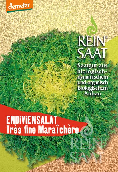 Samenpaket Reinsaat Endiviensalat 'Très fine Maraîchère' - lockere grüne Endivie, selbstblanchierend und frostbeständig. Ideal für den biologischen und biodynamischen Anbau mit Demeter-Zertifizierung.