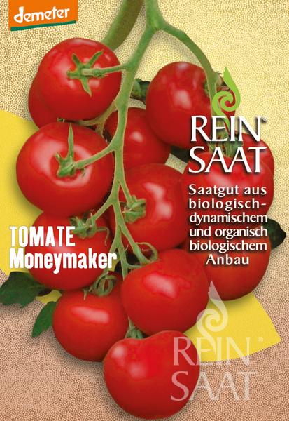 Eine Staude voll reifer Tomaten der Sorte 'Moneymaker' von Reinsaat vor gelbem Hintergrund, mit dem Aufdruck REIN SAAT und Infos zu biologisch-dynamischen, früh reifenden Samen auf Deutsch.