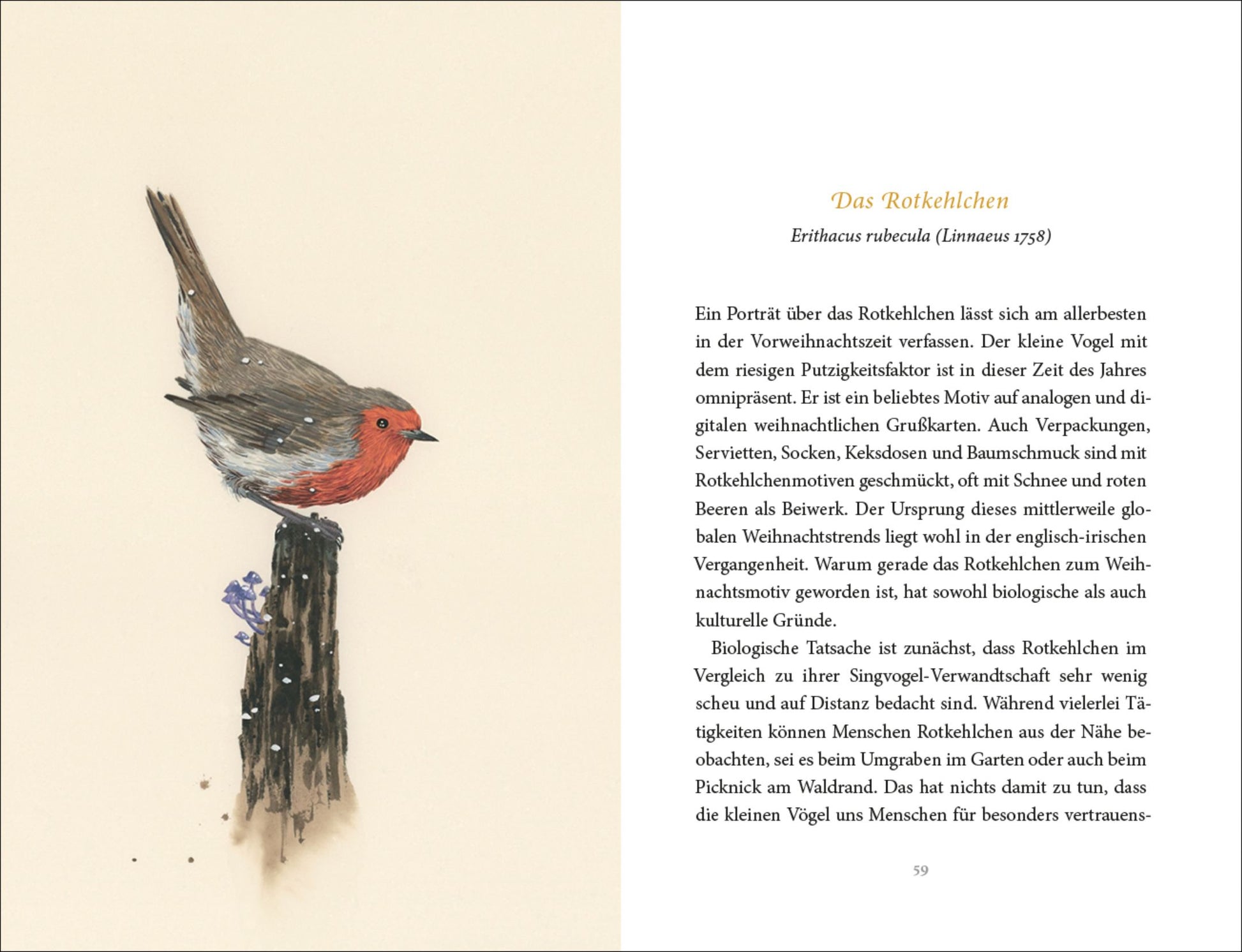 Ein Aquarell von Marieke Nelissen in "Vom Glück des Vogelgesangs" (Insel Verlag) zeigt ein Rotkehlchen auf einem Holzpfahl, daneben steht ein deutscher Text über Singvögel und die Eigenschaften des Vogelgesangs.