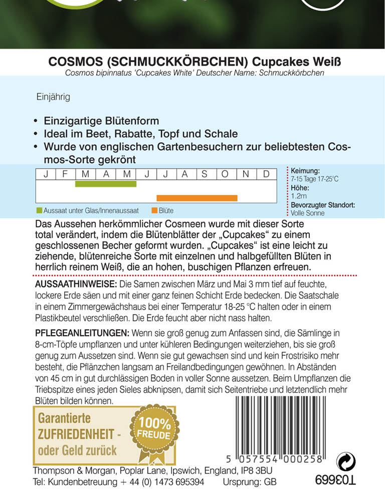 Schmuckkörbchen Cupcake Weiß (Cosmos) - Königliche Gartenakademie