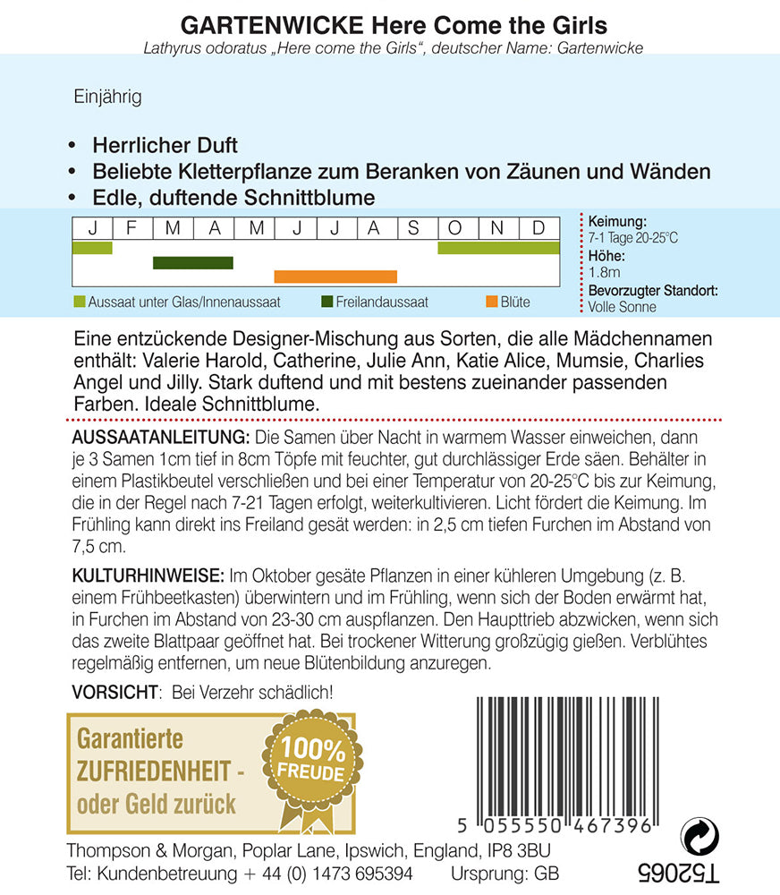 Gartenwicke Here Come The Girls - Königliche Gartenakademie