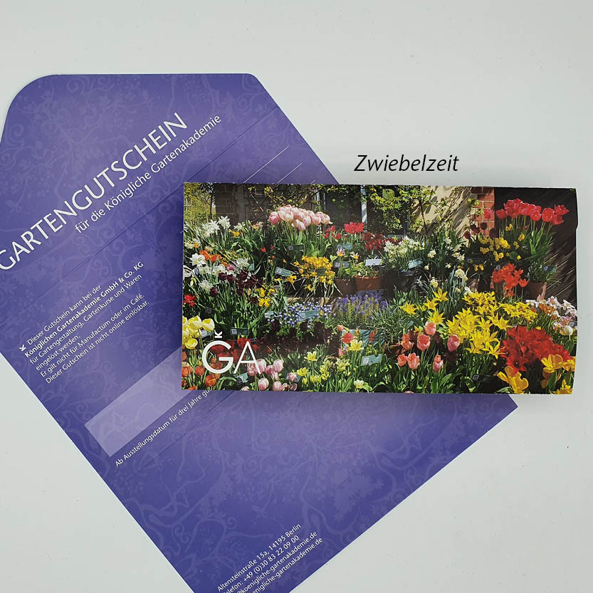 Ein floraler Gutschein für die Königliche Gartenakademie der Königlichen Gartenakademie liegt auf einem violetten Umschlag mit der Aufschrift „Gartengutschein“ und „Zwiebelzeit“ und ist als Gartengutschein gekennzeichnet.