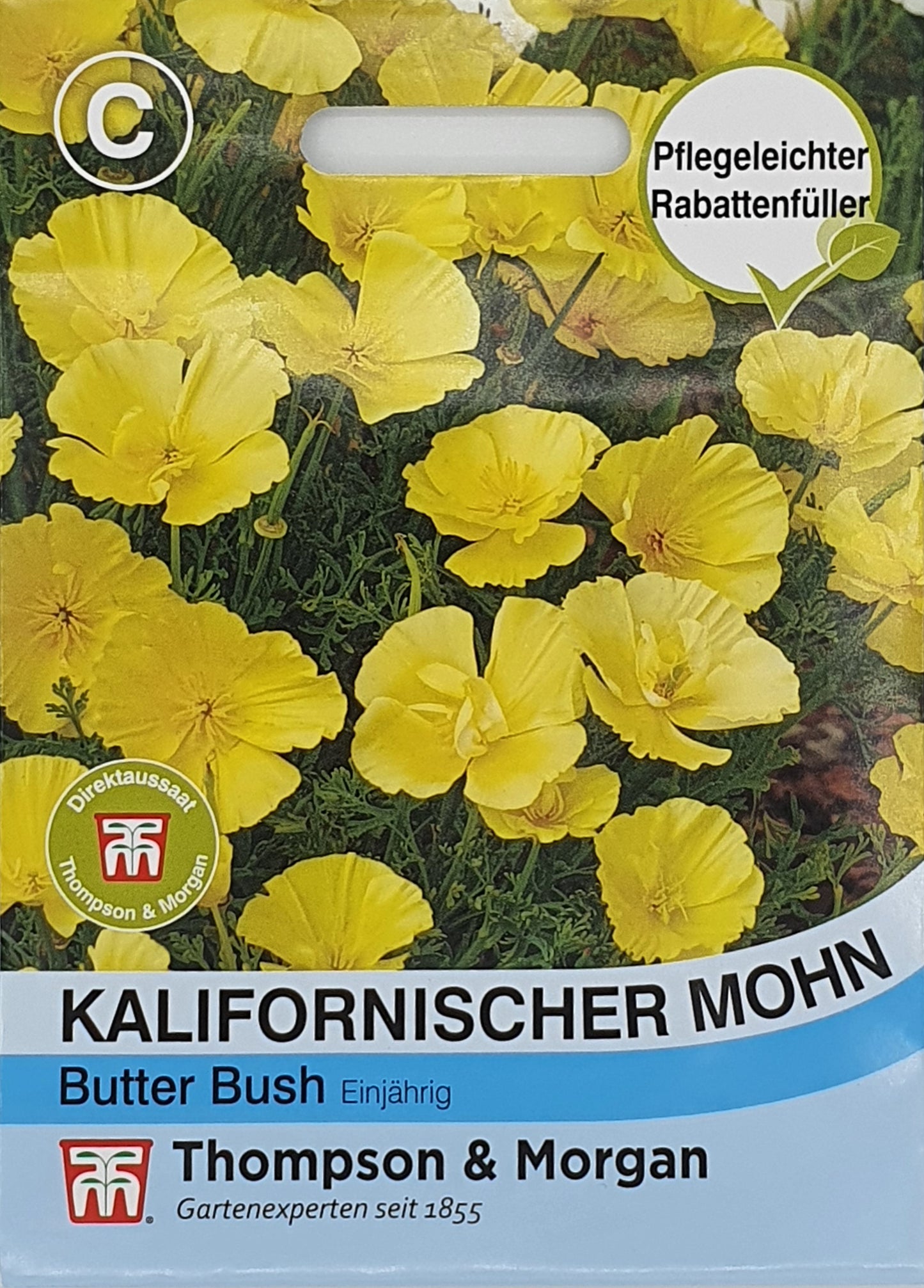 Kalifornischer Mohn Butter Bush - Königliche Gartenakademie