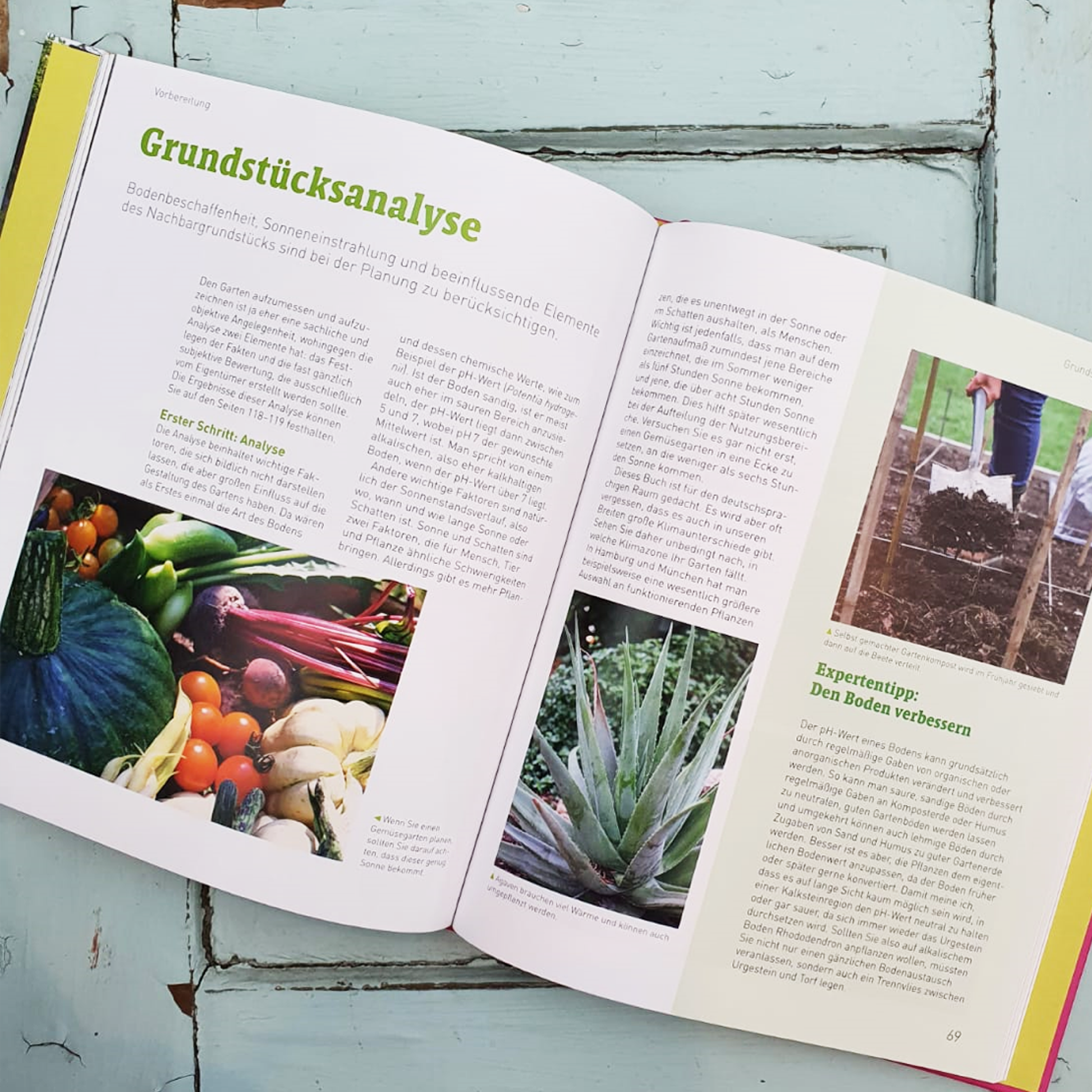 Praxisbuch Gartengestaltung - Königliche Gartenakademie