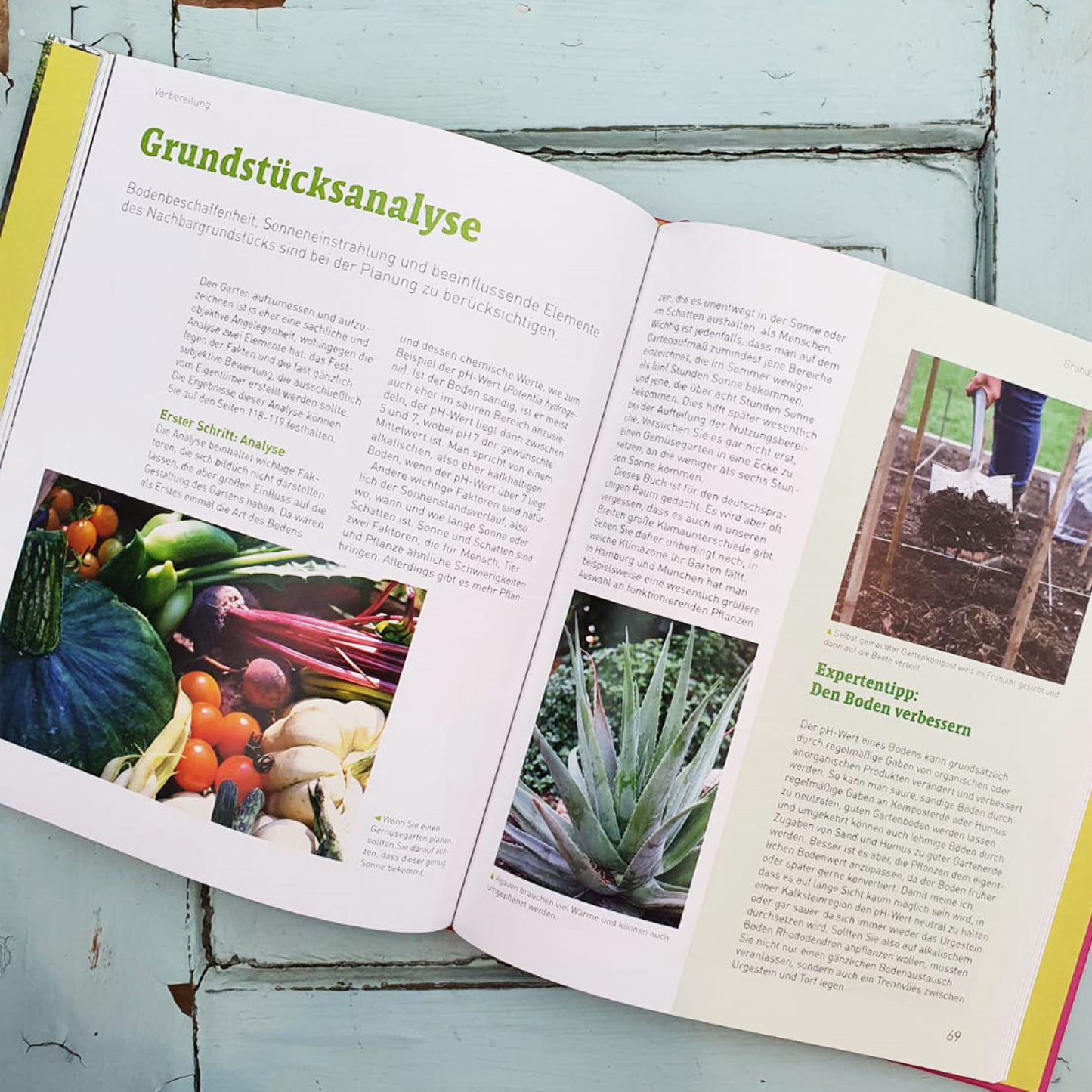 Das Praxisbuch Gartengestaltung von DK Verlag zeigt eine offene Seite mit buntem Gemüse, Agaven und einer Pflanzaktion-ideal, um den Garten zu planen. Enthalten sind Grundstücksanalyse und Profi-Tipps zur Bodenverbesserung auf rustikal-blauem Holz.