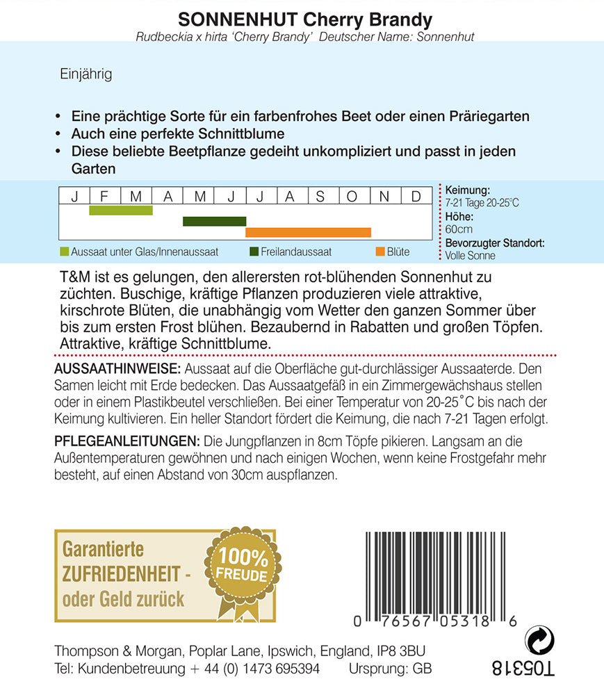 Sonnenhut Cherry Brandy - Königliche Gartenakademie