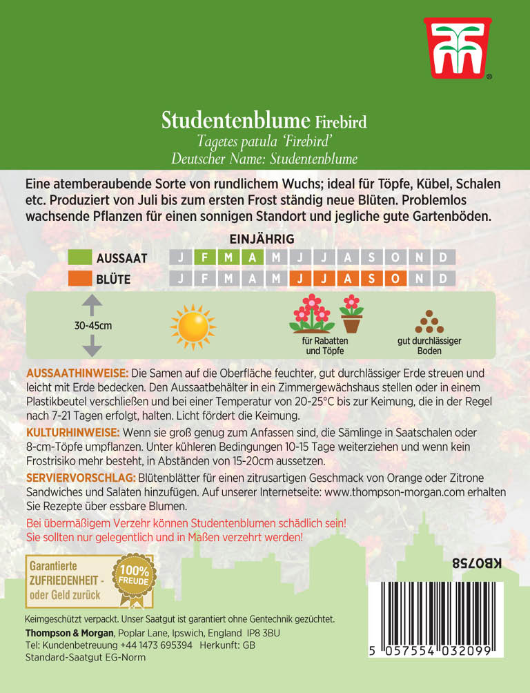 Tagetes Firebird - Königliche Gartenakademie