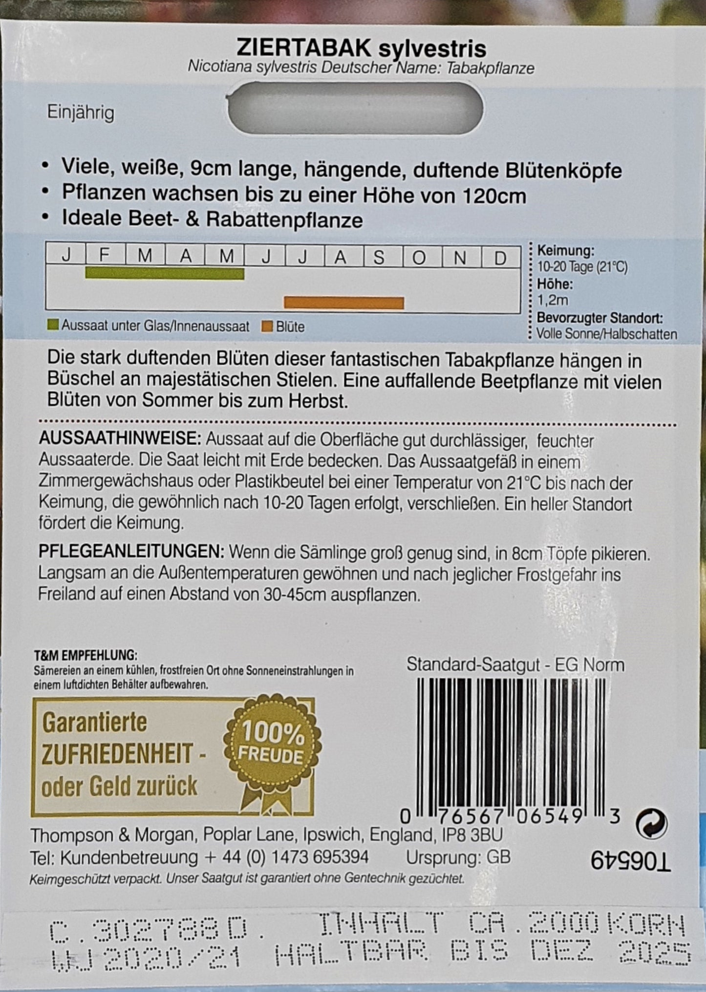 Ziertabak sylvestris - Königliche Gartenakademie