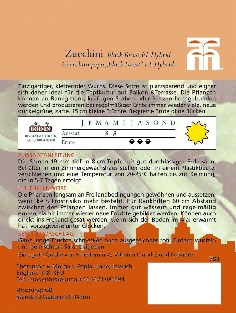 Zucchini Black Forest F1 Hybride - Königliche Gartenakademie
