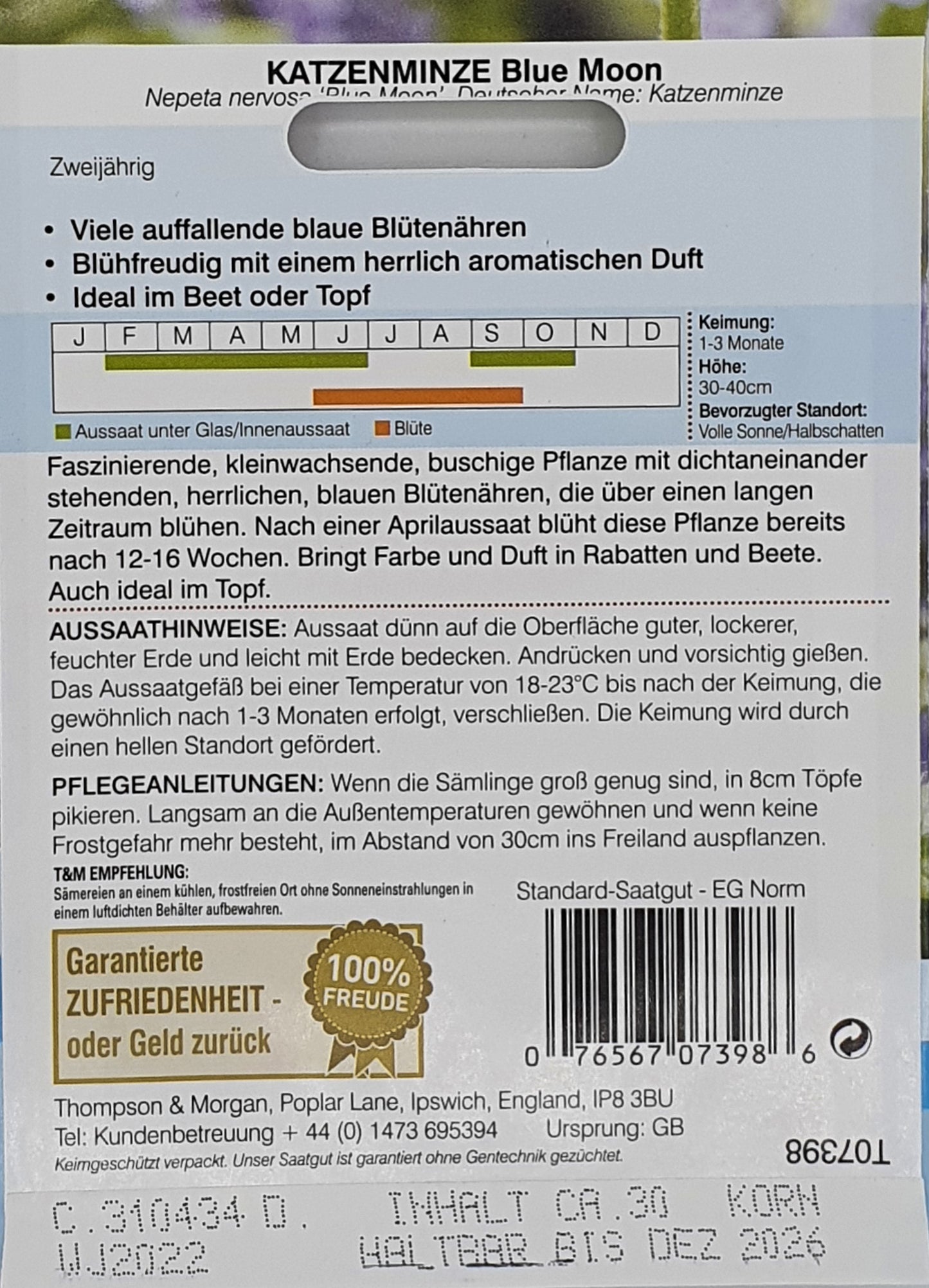 Katzenminze Blue Moon - Königliche Gartenakademie