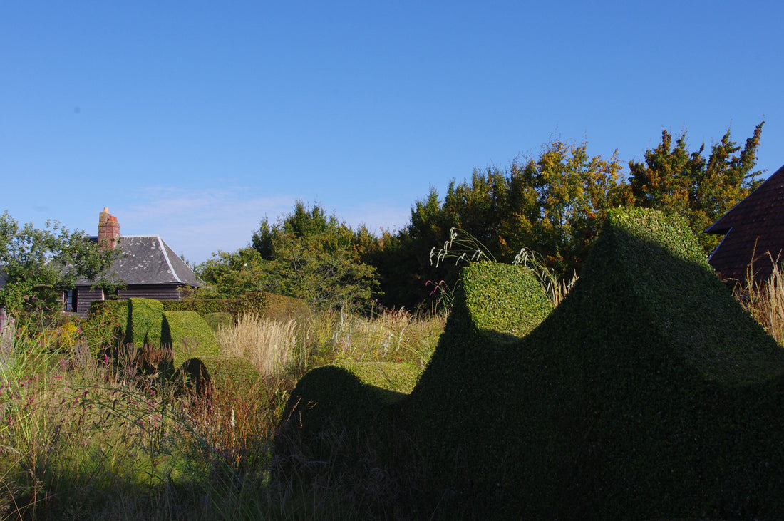 Pflanzen zur Strukturierung eines Gartens