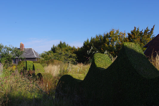 Pflanzen zur Strukturierung eines Gartens