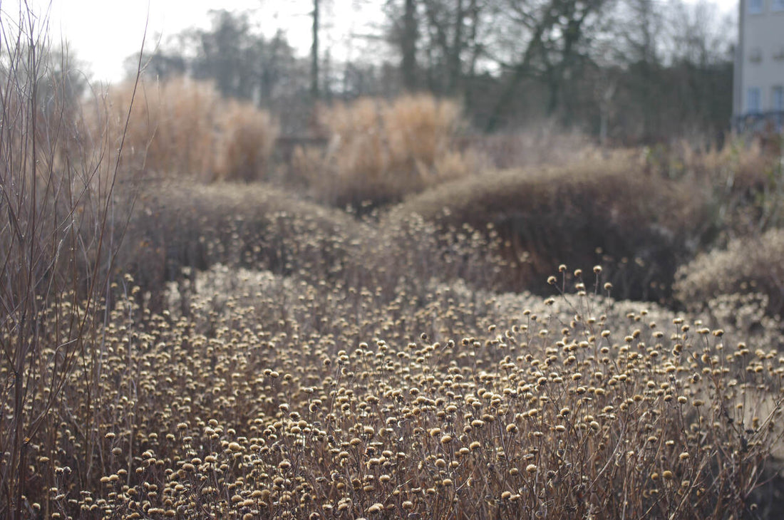 Struktur für die Winterrabatte