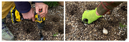 Die neue Saison hat im Garten bereits begonnen