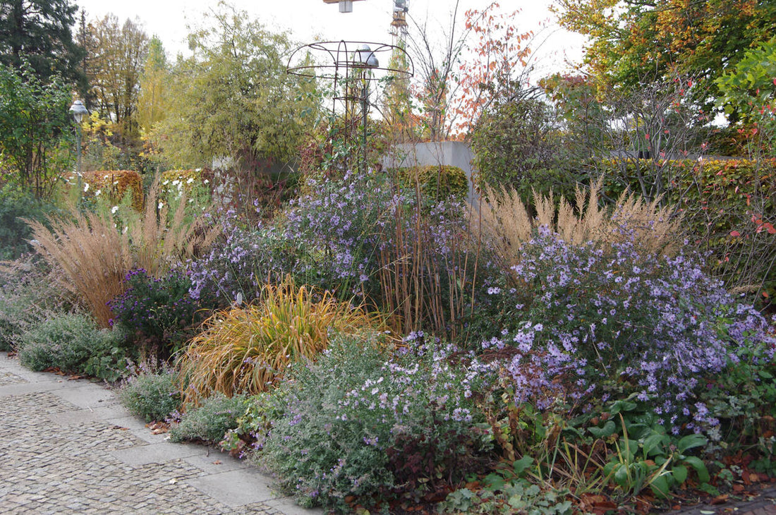 Die beste Zeit zum Pflanzen