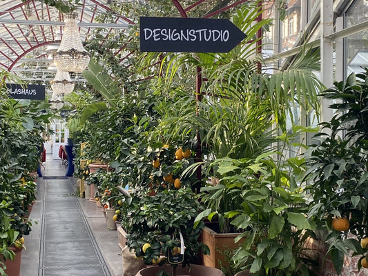 Zitruszeit in der Gartenakademie