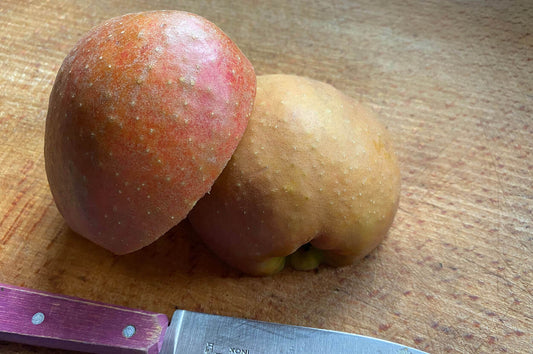 Obstgehölze für den Garten