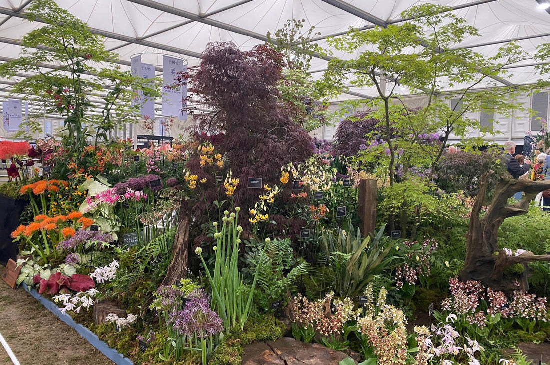 Die Chelsea Flower Show 2022