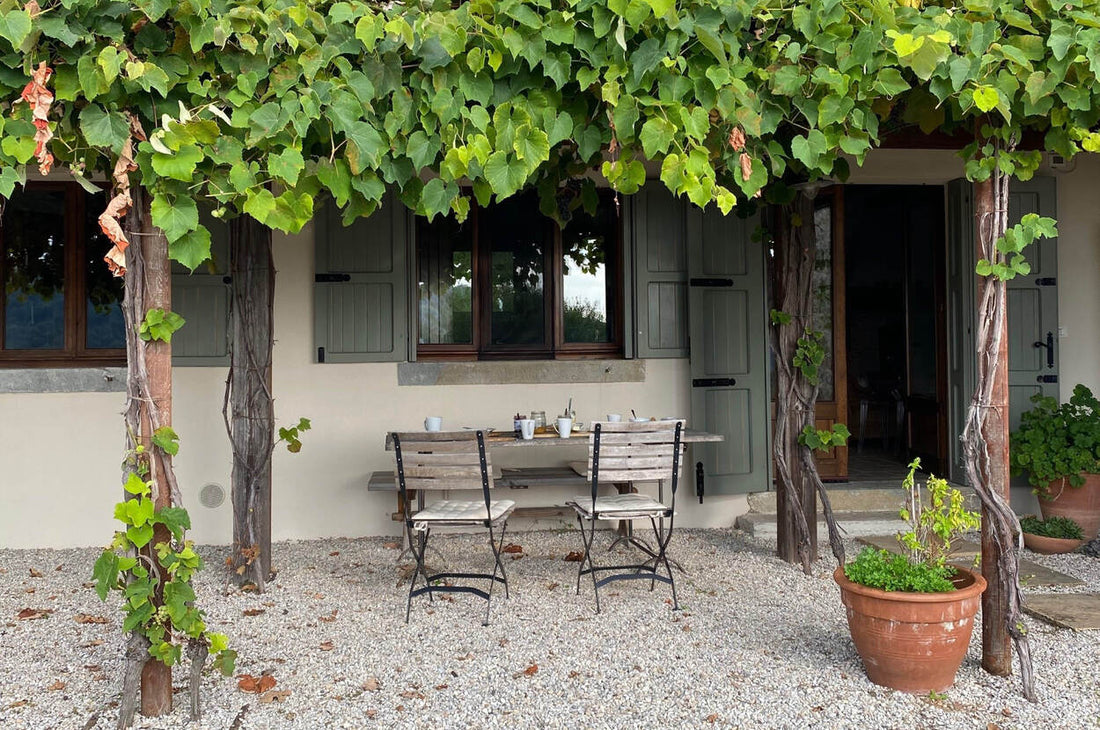 Bepflanzung für kühlenden Schatten