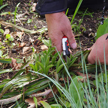 Lade das Bild in den Galerie-Viewer, Freitag, 15.03.2024, 14.00 bis 16.00 Uhr - Workshop &quot;Frühlingsfit - Wie bereite ich meinen Garten auf die neue Saison vor?&quot;
