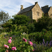 Lade das Bild in den Galerie-Viewer, Sa. 03.05.2025 14.00 - 17.00 HALBTAGESKURS Der Cottage Garten
