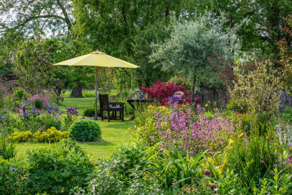 Ein üppiger Garten mit leuchtenden "Stauden im Garten" aus dem Callwey Verlag und grünen Sträuchern umgibt einen Holztisch und Stühle unter einem großen gelben Sonnenschirm auf einem grasbewachsenen Rasen mit Bäumen und Sträuchern im Hintergrund.
