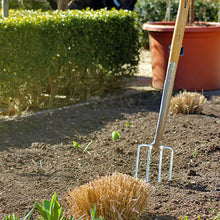 Lade das Bild in den Galerie-Viewer, Freitag, 15.03.2024, 14.00 bis 16.00 Uhr - Workshop &quot;Frühlingsfit - Wie bereite ich meinen Garten auf die neue Saison vor?&quot;
