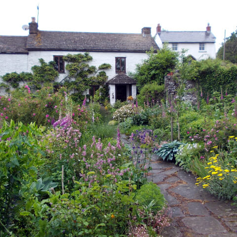 Entdecken Sie die Zukunft des Gärtnerns im Cottage Garten der Königlichen Gartenakademie mit dem Halbtageskurs von Dr. Isabelle Van Groeningen am Fr., 07.11.2025 (09:30-12:30 Uhr): Leuchtende Blumen, Rosen und üppiges Grün erwarten Sie!.