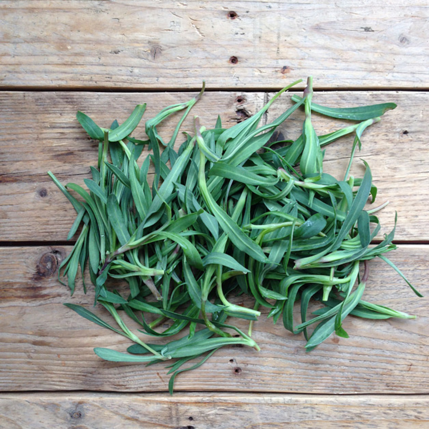 Ein Haufen frischer grüner Kräuter aus der Piccolo Seeds Wildkräuter Kollektion "Foraging Wild Herbs" wird auf einer rustikalen Holzfläche mit sichtbarer Maserung und Ästen ausgebreitet.