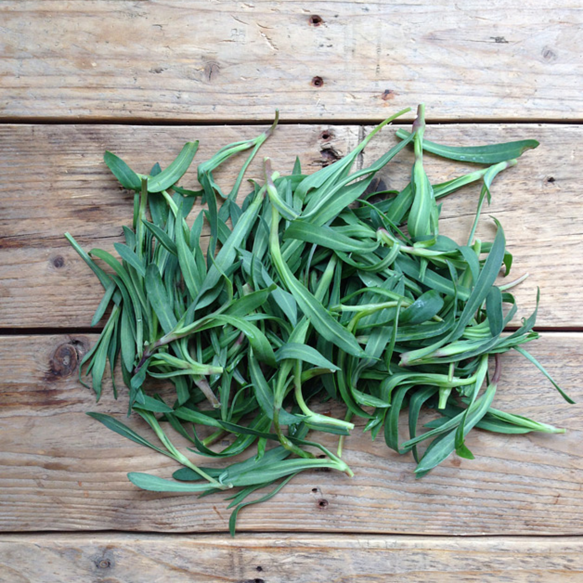 Ein Haufen frischer grüner Kräuter aus der Piccolo Seeds Wildkräuter Kollektion "Foraging Wild Herbs" wird auf einer rustikalen Holzfläche mit sichtbarer Maserung und Ästen ausgebreitet.