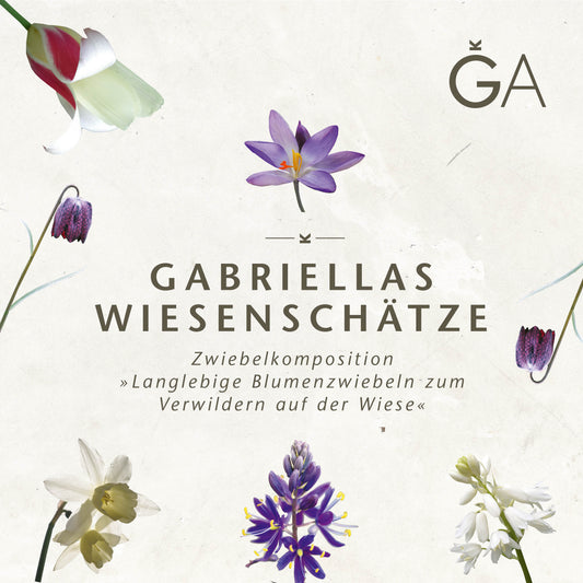 Bunte Blumenabbildungen, darunter Tulpen, umgeben den Text Gabriellas Wiesenschätze: Langlebige Blumenzwiebeln zum Verwildern in der Wiese von der Königlichen Gartenakademie auf hellem Hintergrund.