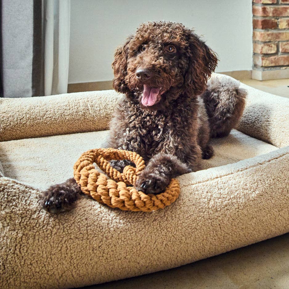 Ein gelockter brauner Hund liegt auf einem beigen Bett mit der LABONI - Volentis GmbH - Britta Brezel, einem hellbraunen geflochtenen Seilspielzeug, unter der Pfote und schaut mit offenem Maul und herausgestreckter Zunge nach oben.